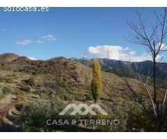 Se vende, Finca, Alcaucín, Málaga, Andalucía