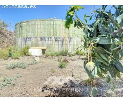 Se vende Finca Cajiz, Malaga, Andalucia