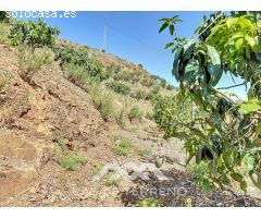 Se vende Finca Cajiz, Malaga, Andalucia