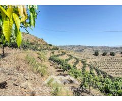 Se vende Finca Cajiz, Malaga, Andalucia