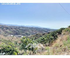 Se vende Finca Cajiz, Malaga, Andalucia