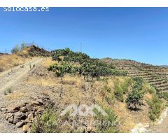Se vende Finca Cajiz, Malaga, Andalucia