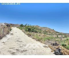 Se vende Finca Cajiz, Malaga, Andalucia