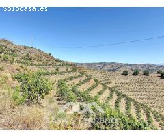 Se vende Finca Cajiz, Malaga, Andalucia