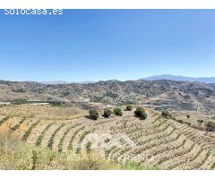 Se vende Finca Cajiz, Malaga, Andalucia