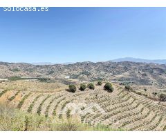 Se vende Finca Cajiz, Malaga, Andalucia