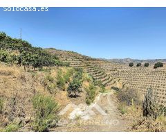 Se vende Finca Cajiz, Malaga, Andalucia