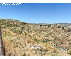 Se vende Finca Cajiz, Malaga, Andalucia