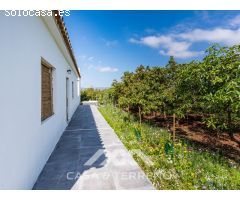 Se vende: Finca, Vélez-Málaga, Málaga, Andalucía