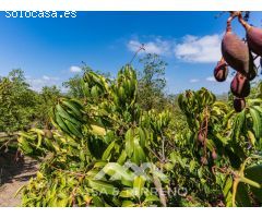 Se vende: Finca, Vélez-Málaga, Málaga, Andalucía