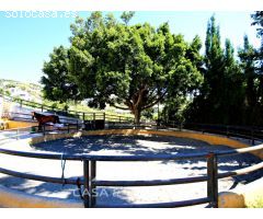 Venta, Centro de vacaciones, Málaga, Andalucía