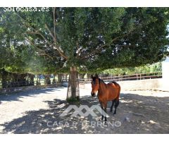 Venta, Centro de vacaciones, Málaga, Andalucía