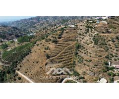 Se vende: Parcela con 1 millón de litros de agua y posibilidad de 2 casas de