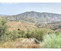 Se vende: Finca agrícola, Arenas, Málaga, Andalucía
