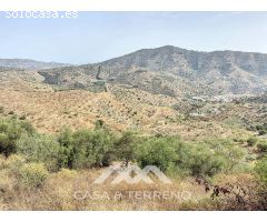 Se vende: Finca agrícola, Arenas, Málaga, Andalucía