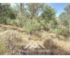 Se vende: Finca agrícola, Arenas, Málaga, Andalucía