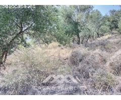 Se vende: Finca agrícola, Arenas, Málaga, Andalucía