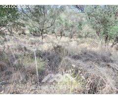 Se vende: Finca agrícola, Arenas, Málaga, Andalucía