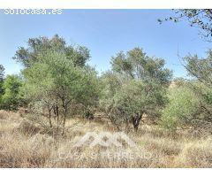 Se vende: Finca agrícola, Arenas, Málaga, Andalucía