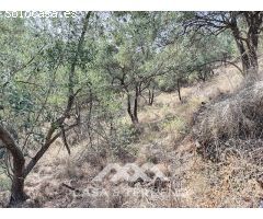 Se vende: Finca agrícola, Arenas, Málaga, Andalucía