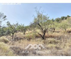 Se vende: Finca agrícola, Arenas, Málaga, Andalucía