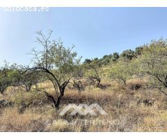 Se vende: Finca agrícola, Arenas, Málaga, Andalucía