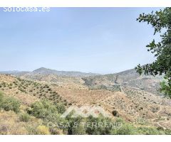 Se vende: Finca agrícola, Arenas, Málaga, Andalucía