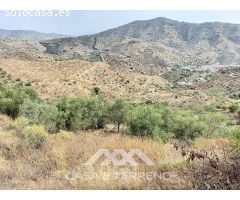 Se vende: Finca agrícola, Arenas, Málaga, Andalucía