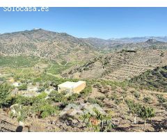 Se vende: Finca, Benamargosa, Málaga, Andalucía
