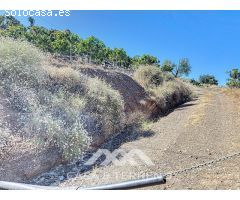 Se vende: Finca, Benamargosa, Málaga, Andalucía