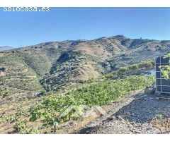 Se vende: Finca, Benamargosa, Málaga, Andalucía