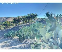 Se vende: Finca, Benamargosa, Málaga, Andalucía