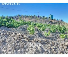 Se vende: Finca, Benamargosa, Málaga, Andalucía