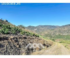 Se vende: Finca, Benamargosa, Málaga, Andalucía