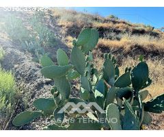 Se vende: Finca, Benamargosa, Málaga, Andalucía