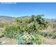 Se vende: Finca, Benamargosa, Málaga, Andalucía