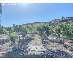 Se vende: Finca, Benamargosa, Málaga, Andalucía