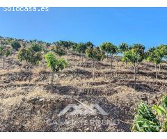 Se vende: Finca, Benamargosa, Málaga, Andalucía