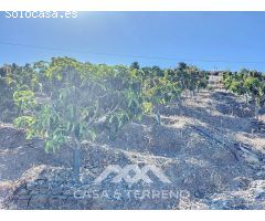 Se vende: Finca, Benamargosa, Málaga, Andalucía