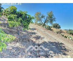 Se vende: Finca, Benamargosa, Málaga, Andalucía