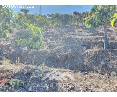 Se vende: Finca, Benamargosa, Málaga, Andalucía