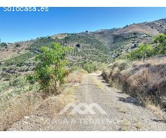 Se vende: Finca, Benamargosa, Málaga, Andalucía
