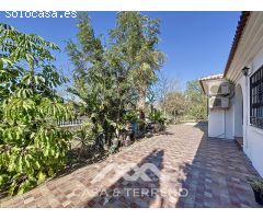 Se vende: Finca, Competa, Málaga