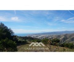 Se vende: Casa de campo, Sayalonga, Málaga, Andalucía