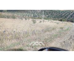 En venta: Terreno Rústico, Casabermeja, Málaga.