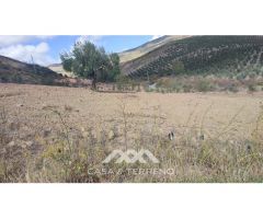 En venta: Terreno Rústico, Casabermeja, Málaga.