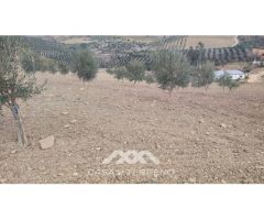 En venta: Terreno Rústico, Casabermeja, Málaga.