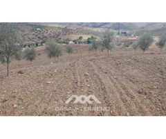 En venta: Terreno Rústico, Casabermeja, Málaga.