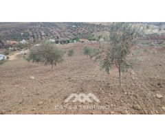 En venta: Terreno Rústico, Casabermeja, Málaga.
