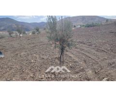 En venta: Terreno Rústico, Casabermeja, Málaga.